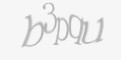 Защитный код